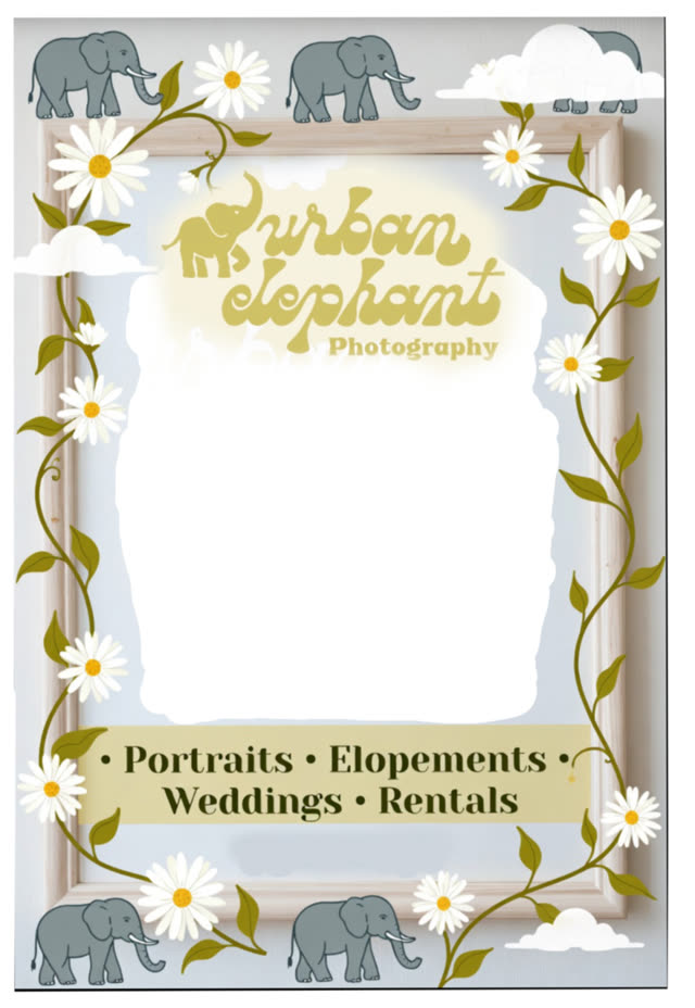 Custom photography studio border
